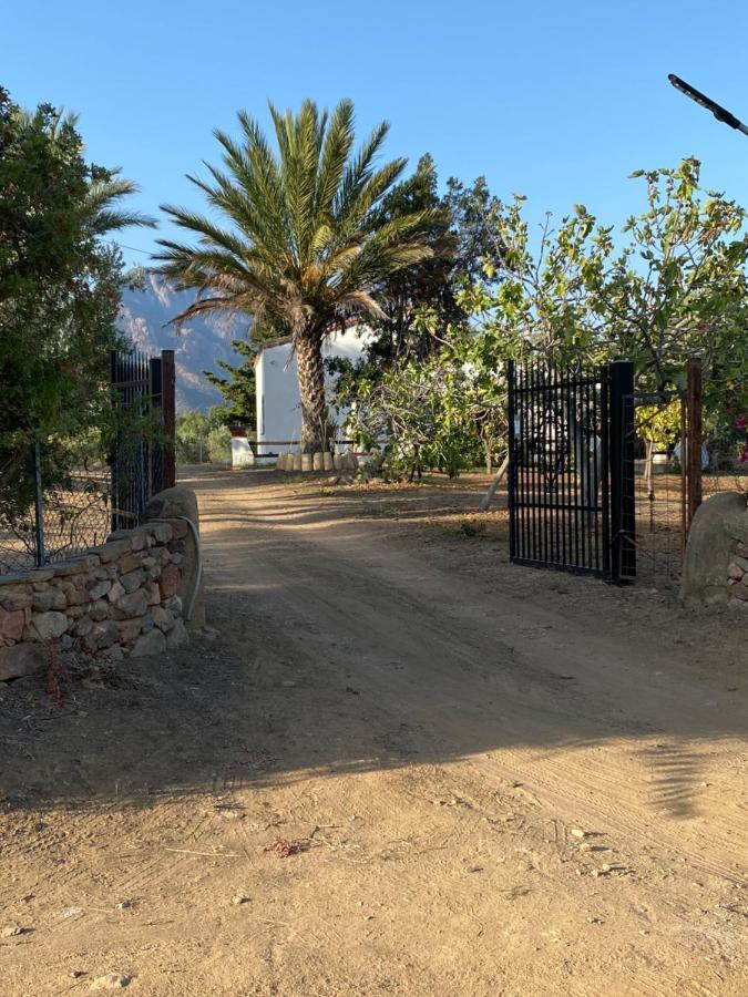 Villa Bianca Tertenìa Exteriör bild